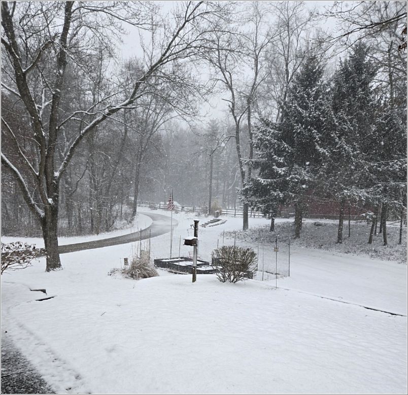 Signs of Lake-effect snow at my place. Photo: Letty Klein.